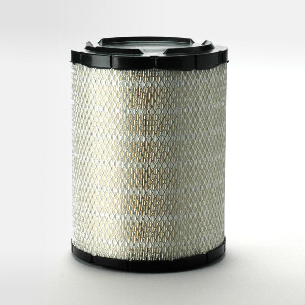 FILTRE A AIR PRINCIPAL RADIALSEAL