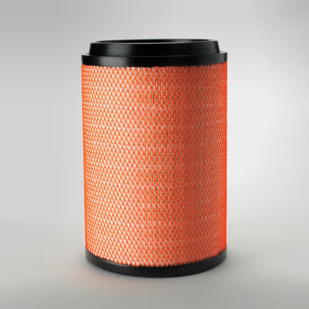 FILTRE A AIR PRINCIPAL RADIALSEAL