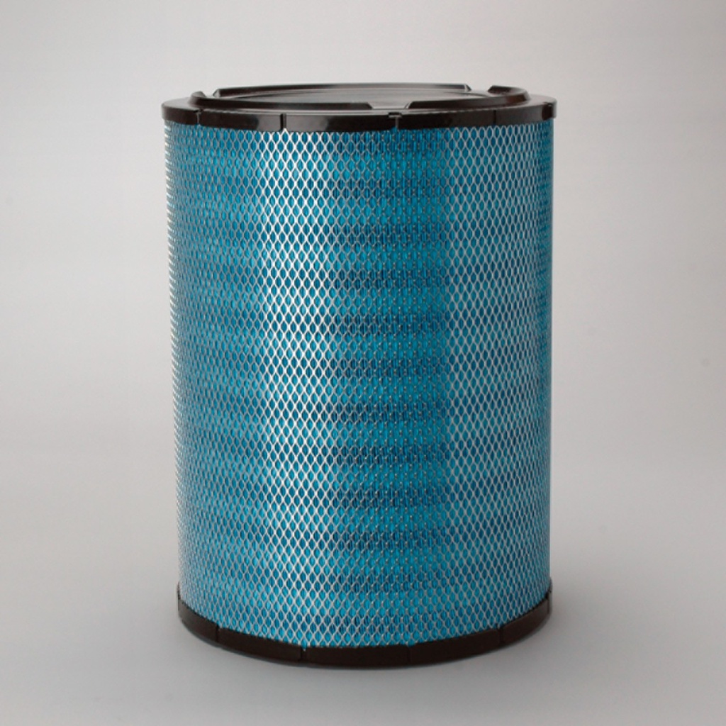 FILTRE A AIR PRINCIPAL RADIALSEAL DONALDSON BLUE
