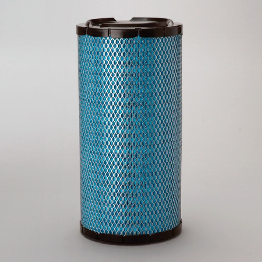 FILTRE A AIR PRINCIPAL RADIALSEAL DONALDSON BLUE