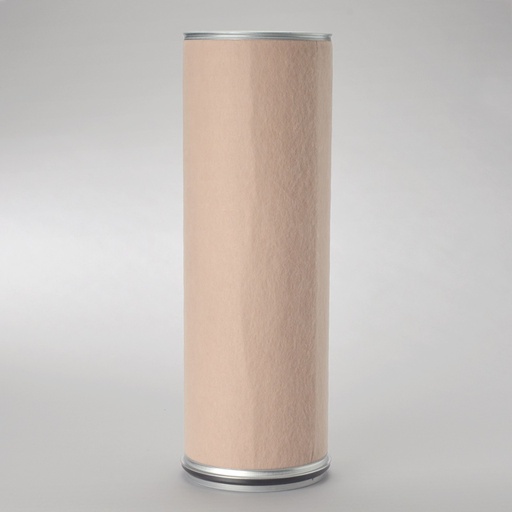 [P781351] FILTRE A AIR SECURITE