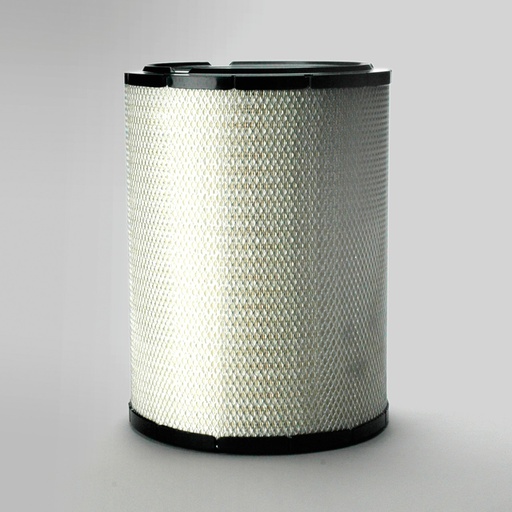 [P781398] FILTRE A AIR PRINCIPAL RADIALSEAL