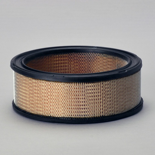 [P530639] FILTRE A AIR
