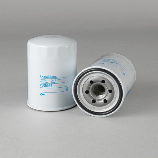 [P505956] BRANDSTOFFILTER