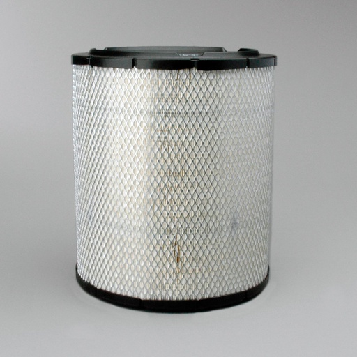 [P532473] LUCHTFILTER, PRIMARY RADIALSEAL