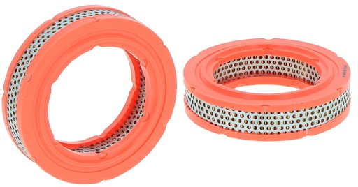 [SA10149] FILTRE A AIR