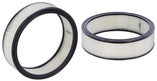 [SA10276] FILTRE A AIR