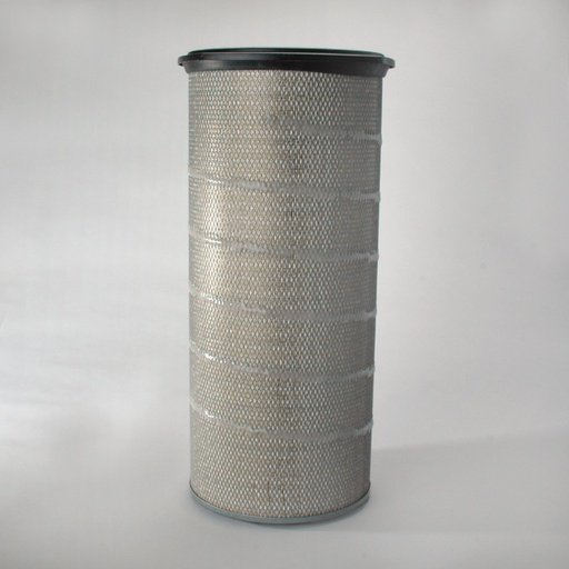 [P787492] FILTRE A AIR