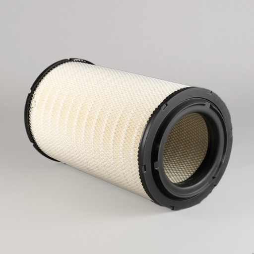 [P787609] FILTRE A AIR