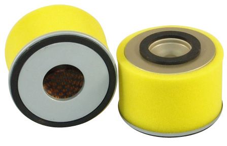 [SA12163] FILTRE A AIR