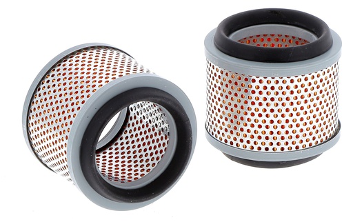 [SA12173] FILTRE A AIR