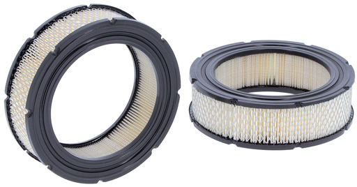 [SA12187] FILTRE A AIR