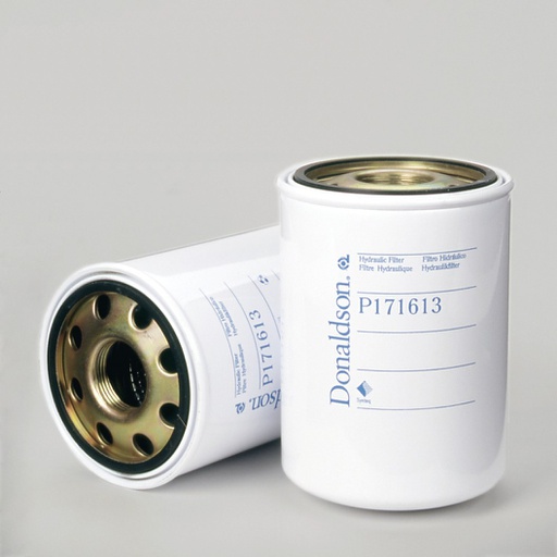 [P171613] HYDRAULIQUE FILTRE (à visser)
