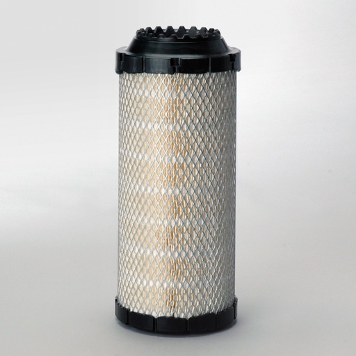 [P778989] LUCHTFILTER, PRIMARY RADIALSEAL