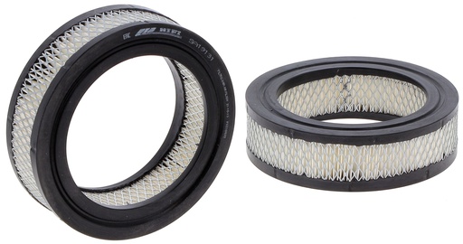 [SA19131] FILTRE A AIR