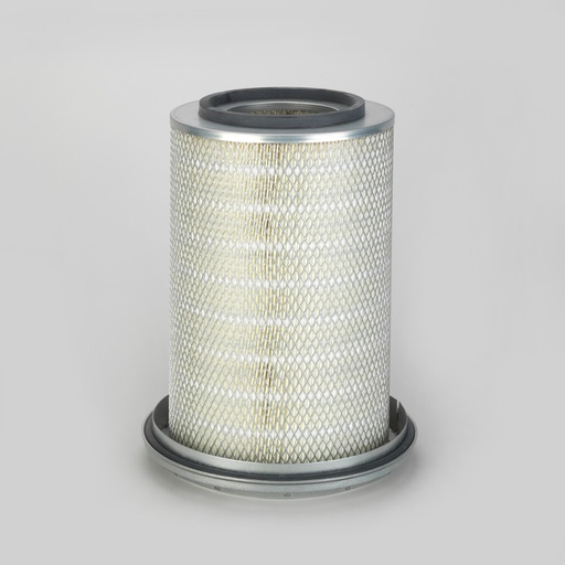 [P181087] FILTRE A AIR