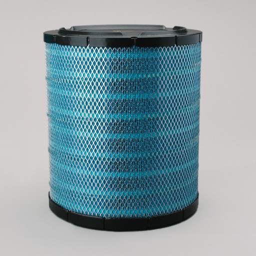 [DBA5069] FILTRE A AIR PRINCIPAL DONALDSON BLUE