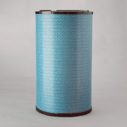 [DBA5156] FILTRE A AIR PRINCIPAL RADIALSEAL DONALDSON BLUE