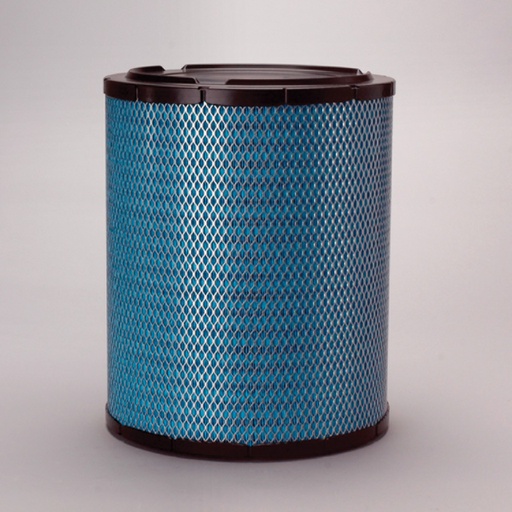 [DBA5216] FILTRE A AIR PRINCIPAL RADIALSEAL DONALDSON BLUE