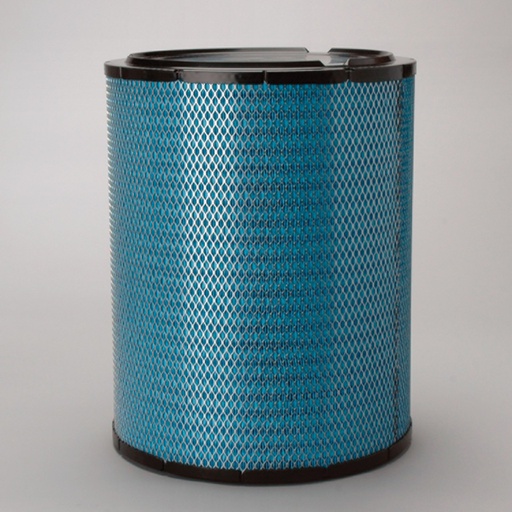 [DBA5219] FILTRE A AIR PRINCIPAL RADIALSEAL DONALDSON BLUE