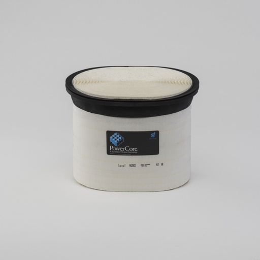 [P635903] FILTRE A AIR