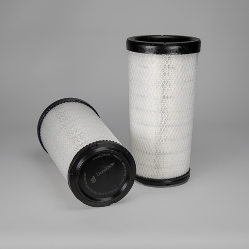 [P959216] FILTRE A AIR DE SECURITE