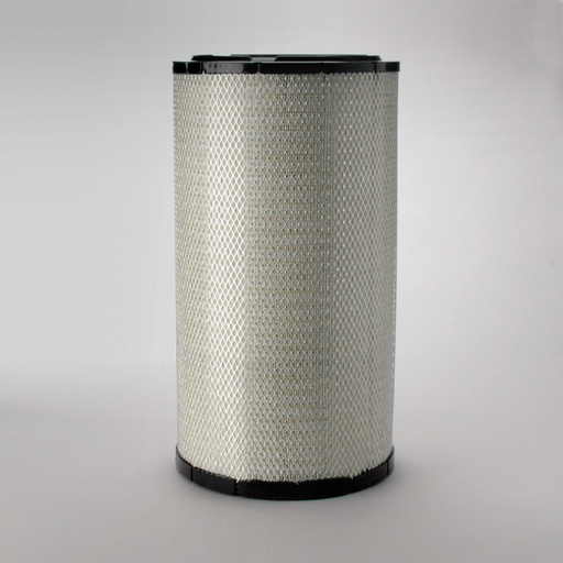 [P777871] LUCHTFILTER, PRIMARY RADIALSEAL