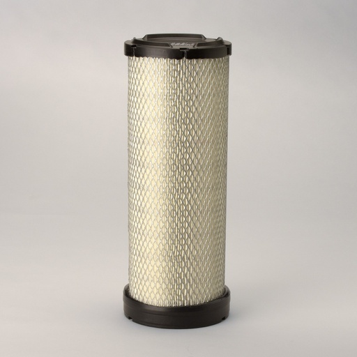 [P951537] FILTRE A AIR